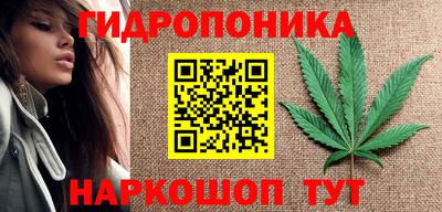 шишки Рыбинск