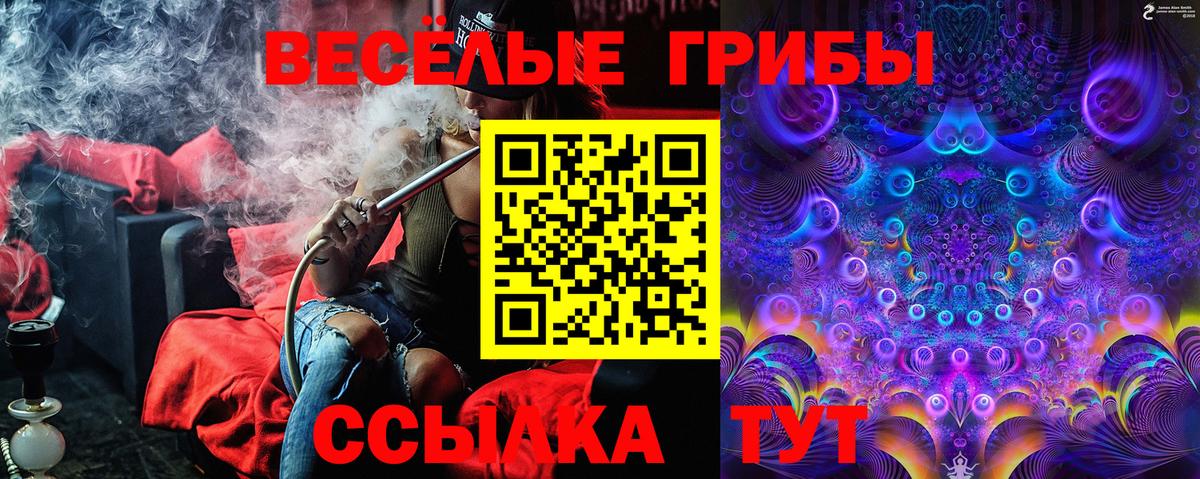 Галлюциногенные грибы прущие грибы  Вход с VPN  Орёл 
